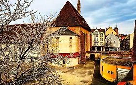 Appartement Charme Colmar Centre